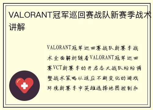 VALORANT冠军巡回赛战队新赛季战术讲解