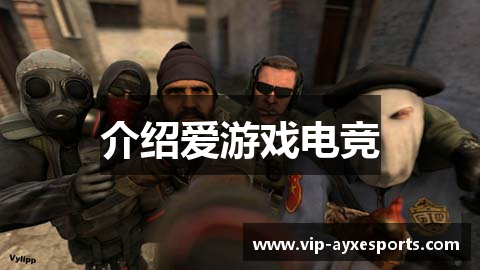 介绍爱游戏电竞